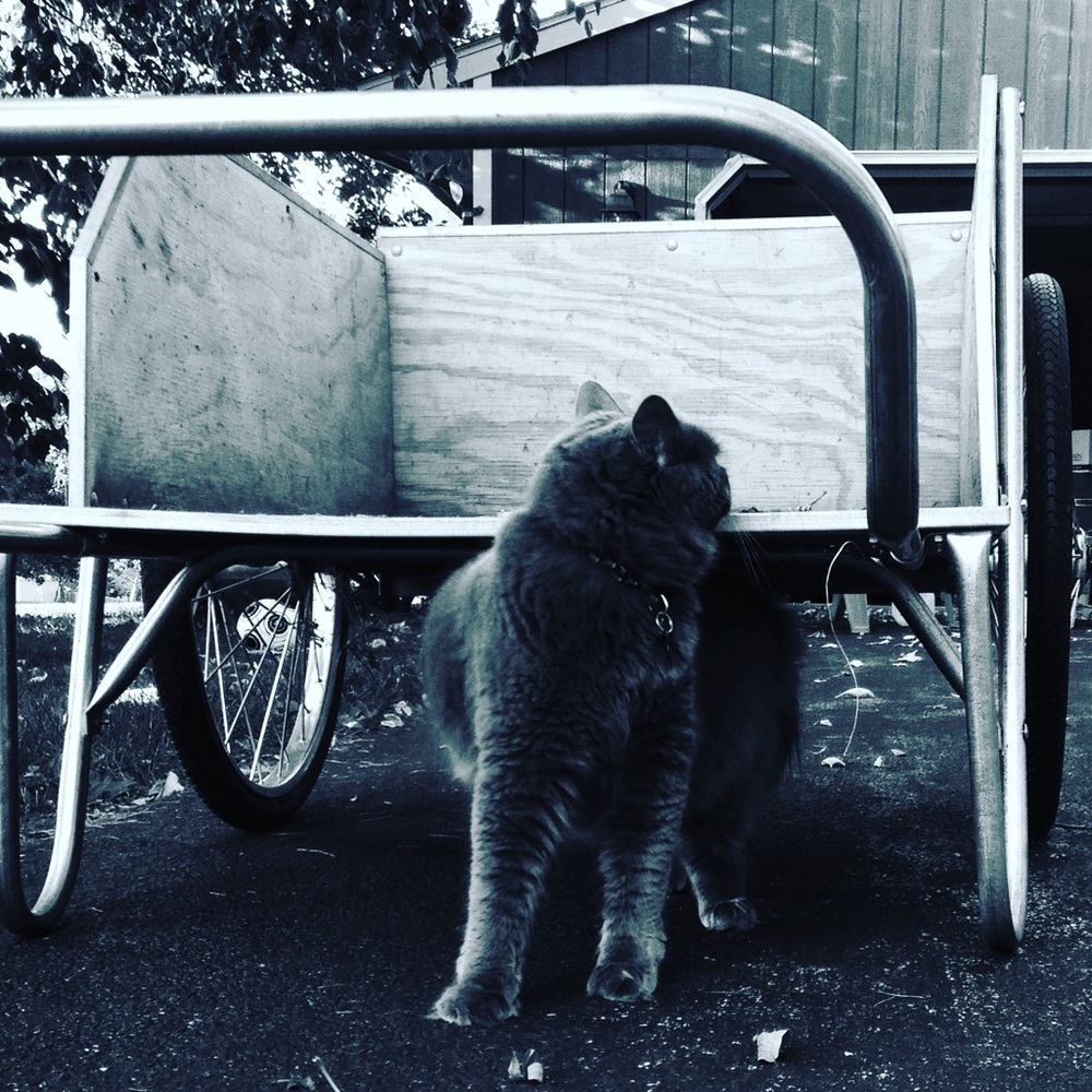 Meet your Posher, Olive